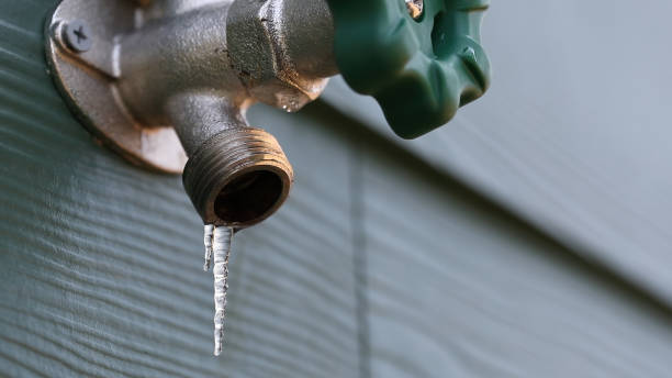 Best Clogged Drain Plumber  in Hamburg, PA